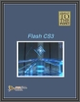 Straight to the Point: Flash CS3