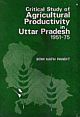 Critical Study of Agricultural Productivity in Uttar Pradesh 1951-1975