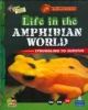 Life in the Amphibian World