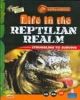 Life in the Reptilian Realm