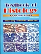 A Textbook of History: A Colour Atlast, 4/e