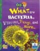 What Are Bacteria, Viruses, Fungi and More