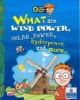 What are Wind Power, Solar Power, Hydropower and More