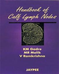 Handbook Of Calf Lymph Nodes 2001