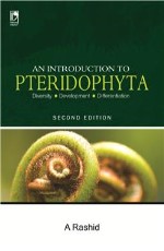 AN INTRODUCTION TO PTERIDOPHYTA