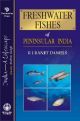 Fresh Water Fishes Of Peninsular India