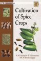 Cultivation Of Spice Crops