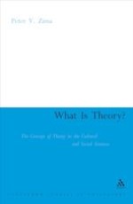 What Is Theory?: Cultural Theory as Discourse and Dialogue