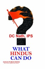 What Hindus Can Do