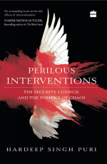 Perilous Interventions : The Security Council and the Politics of Chaos