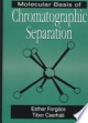 Molecular Bases Of Chromatographic Seperation