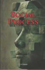 Social Process
