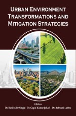 Urban Environment Transformations and Mitigation Strategies