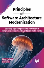 Principles of Software Architecture Modernization 