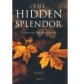The HIdden Splendor: Discovering Your Inner Beauty