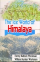 The Iceworld of Himalaya