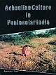 Acheulian Culture in Peninsular India An Ecological Perspective