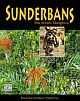 Sunderbans- The Mystic Mangrove