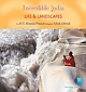 Incredible India - Life & Landscapes