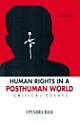 Human Rights in a Posthuman World : Critical Essays 