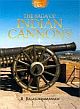 The Saga of Indian Cannons