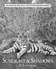 Sunlight And Shadows: An Indian Wildlife Photographer`s Diary