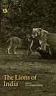 THE LIONS OF INDIA