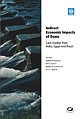 Indirect Economic Impacts of Dams : Case studies from India, Egypt and Brazil