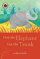 How the Elephant Got Its Trunk