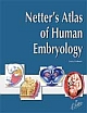 Netter`s Atlas of Human Embryology 