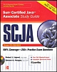 SCJA Sun Certified Java Associate Study Guide (Exam CX-310-019)