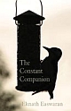 The Constant Companion  