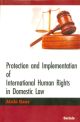 Protection and Implementation of International Human Rights in Domestic Law 