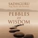 Pebbles Of Wisdom 