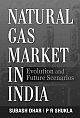 Natural Gas Market in India : Evolution and Future Scenarios