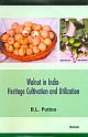 Walnut in India-Heritage Cultivation & Utilization 