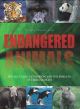 Endangered Animals 