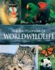 The Encyclopedia Of World WildLife 