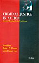 Criminal Justice in Action; Essential Readings for the Practitioner