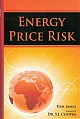 Energy Price Risk 