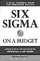 Six Sigma on a Budget