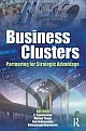 Business Clusters: Partnering for Strategic Advantage