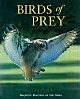 Birds Of Prey 