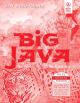 BIG JAVA, 2ND ED