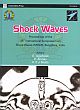 Shock Waves: Proceedings of the 25th International Symposium on Shock Waves-ISSW25, Bangalore, India