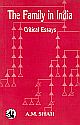 Family in India, The: Critical Essays