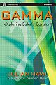 Gamma: Exploring Euler`s Constant