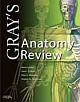 Gray`s Anatomy Review
