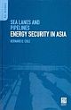 Sea Lanes And Pipelines: Energy Security In East Asia