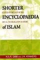 Shorter Encyclopaedia Of Islam